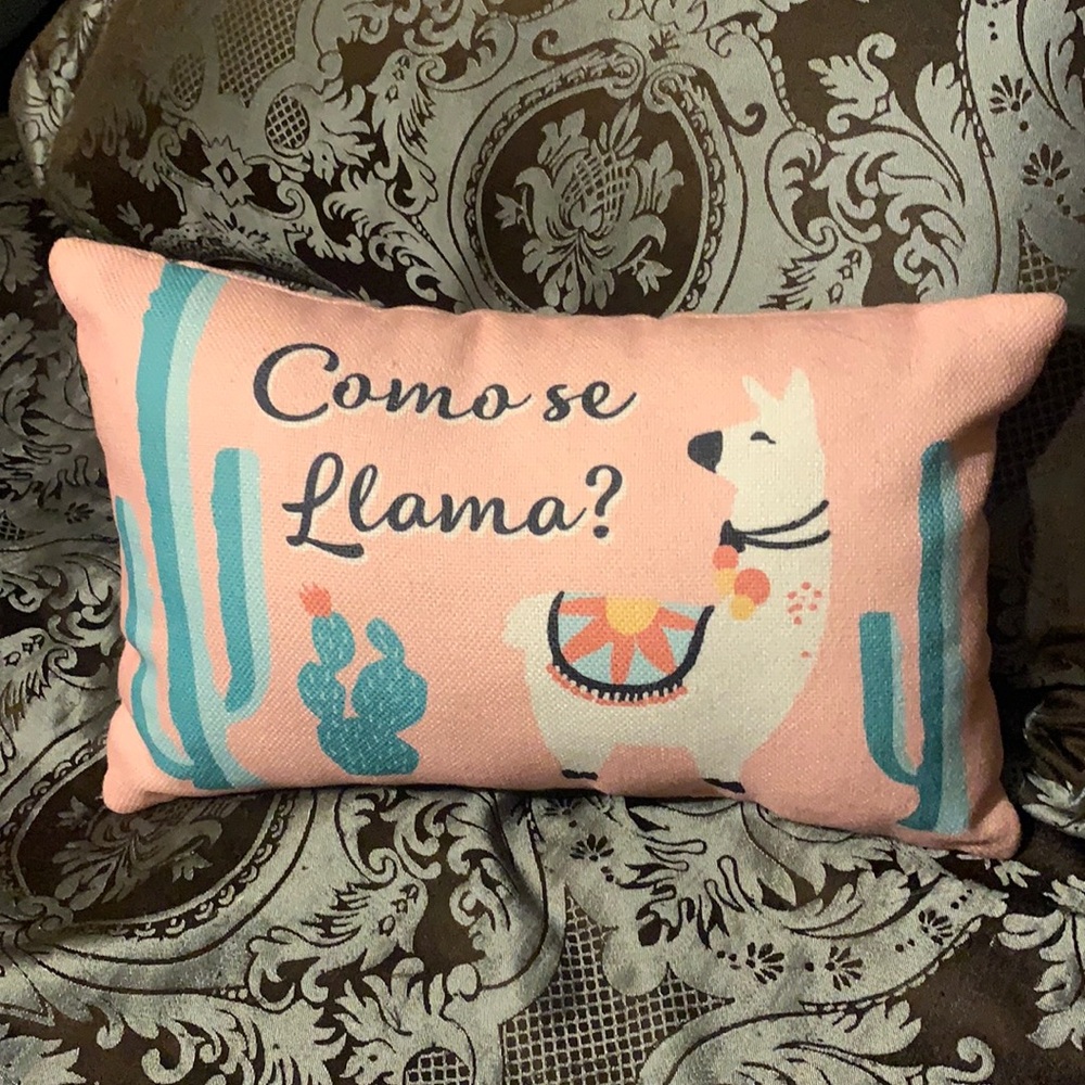 🌸Como se Llama 🦙🌸